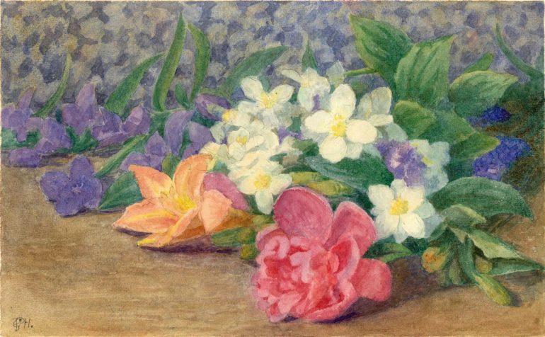 illustration-jardin-secret-les-fleurs-du-musee-barrois